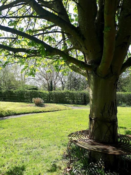 Host & Stay - Clara Cottage Bretforton Екстер'єр фото