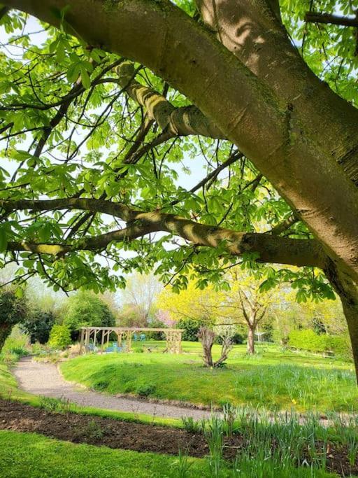 Host & Stay - Clara Cottage Bretforton Екстер'єр фото