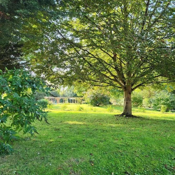 Host & Stay - Clara Cottage Bretforton Екстер'єр фото